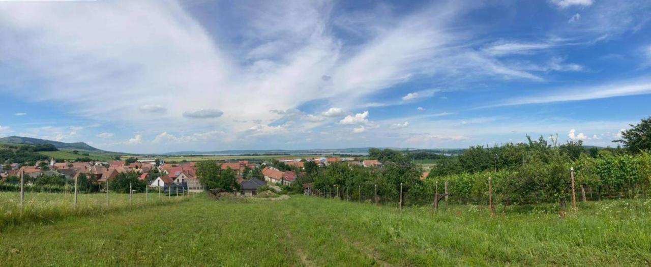 Prazdninovy Dum Na Palave S Vinnym Sklepem Milovice  Exteriör bild