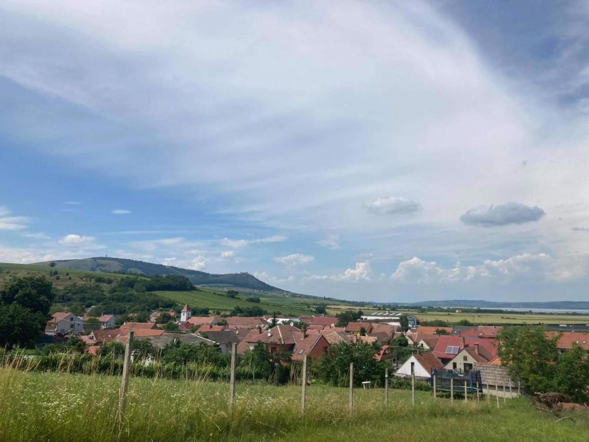 Prazdninovy Dum Na Palave S Vinnym Sklepem Milovice  Exteriör bild